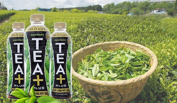 Trà Ô Long Tea+ 450ml/ Chai