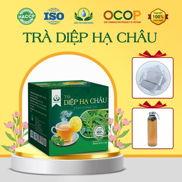 Trà Diệp Hạ Châu (Cây Chó Đẻ)  Hộp 30 Túi Lọc x 3g