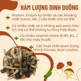 Nấm Mối Đen Khô Sấy Thăng Hoa 200gr