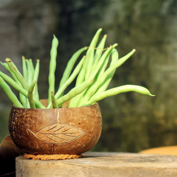 Tô(Bát) gáo dừa khắc hoa văn
